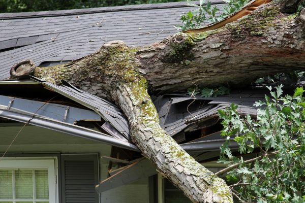 Storm Remediation in Pottstown